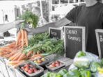 cheerfully_lost-vegetable-2573149_1920